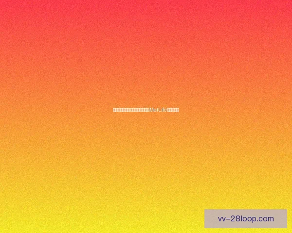 世界杯聚焦纽约新泽西交汇地带的MetLife体育场盛典 世界杯聚焦纽约新泽西交汇地带的MetLife体育场盛典
